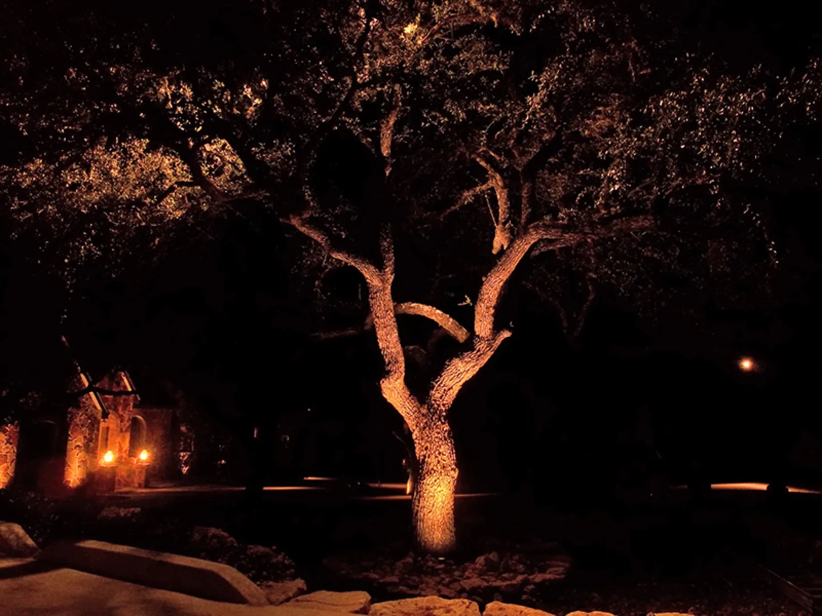 Boerne TX LED Down Lighting Tree Lighting