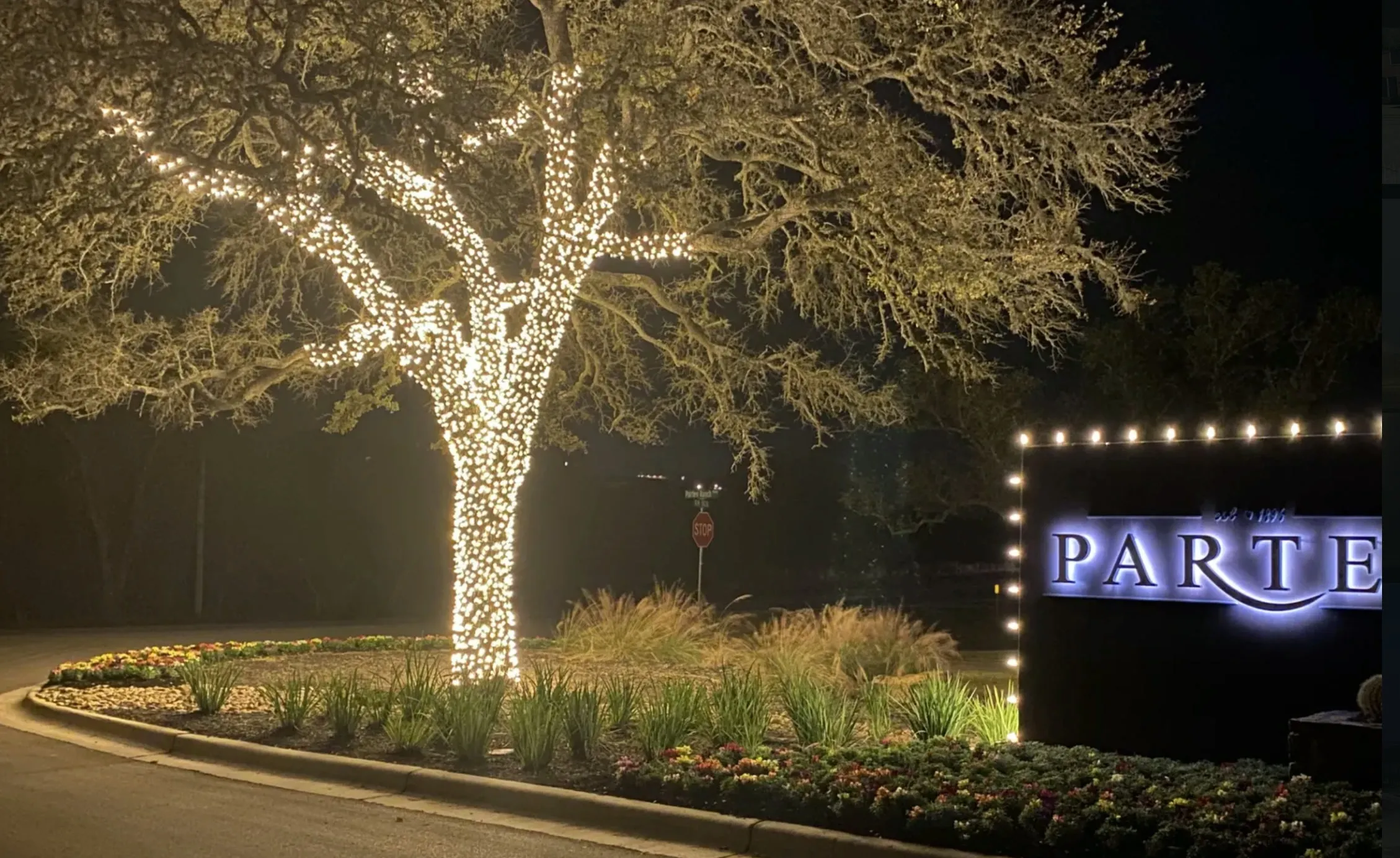 Community entrance with a tree wrapped in holiday lights and a lit monument sign at night